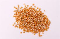 全自動(dòng)顆粒包裝機(jī)替人們解決了很多問(wèn)題